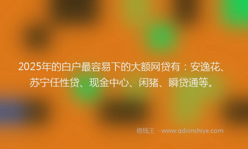 2025年的白户最容易下的大额网贷有：安逸花、苏宁任性贷、现金中心、闲猪、瞬贷通等。