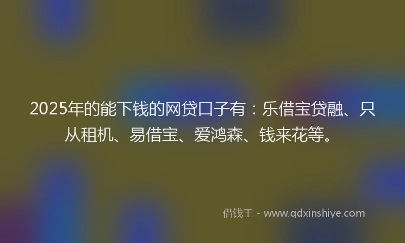 2025年的能下钱的网贷口子有：乐借宝贷融、只从租机、易借宝、爱鸿森、钱来花等。