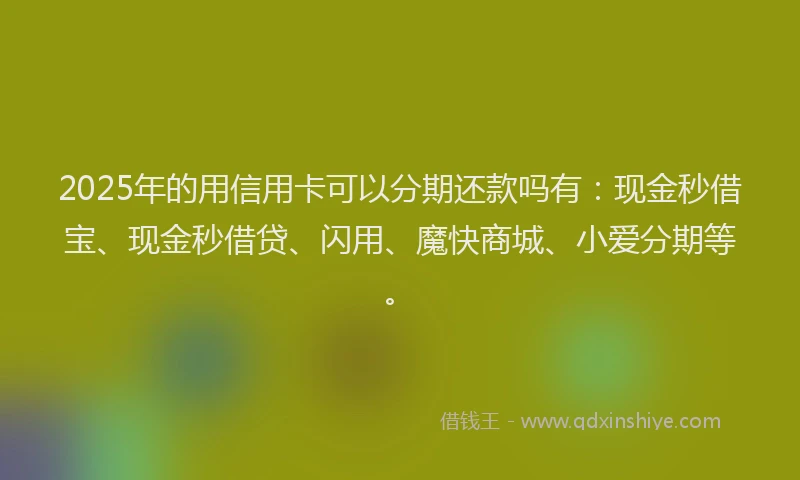 2025年的用信用卡可以分期还款吗有：现金秒借宝、现金秒借贷、闪用、魔快商城、小爱分期等。