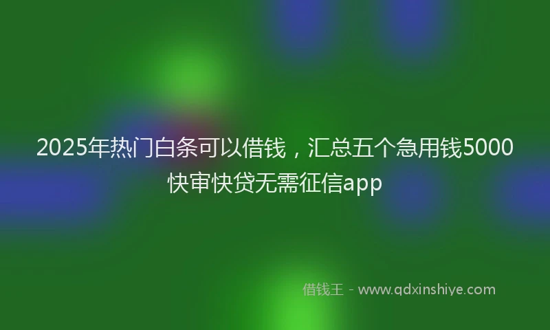 2025年热门白条可以借钱，汇总五个急用钱5000快审快贷无需征信app