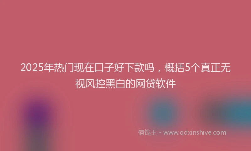 2025年热门现在口子好下款吗，概括5个真正无视风控黑白的网贷软件