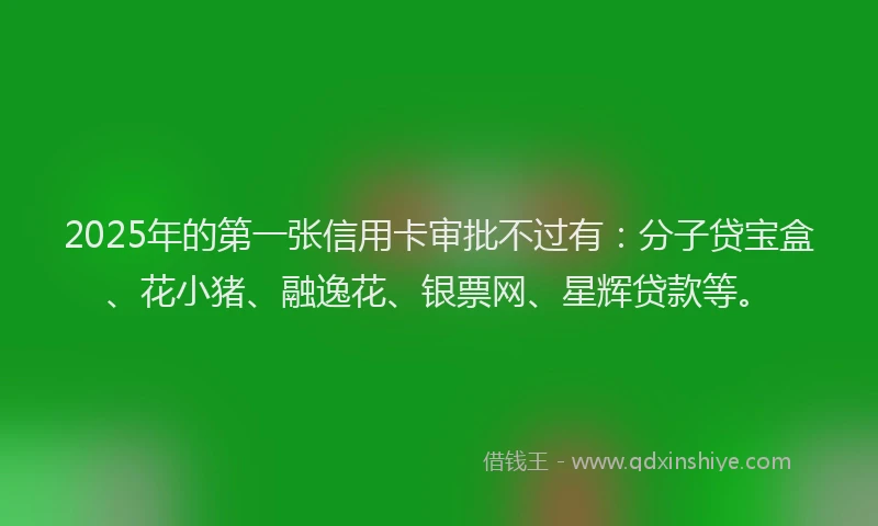 2025年的第一张信用卡审批不过有：分子贷宝盒、花小猪、融逸花、银票网、星辉贷款等。