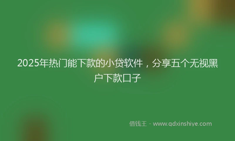 2025年热门能下款的小贷软件,分享五个无视黑户下款口子