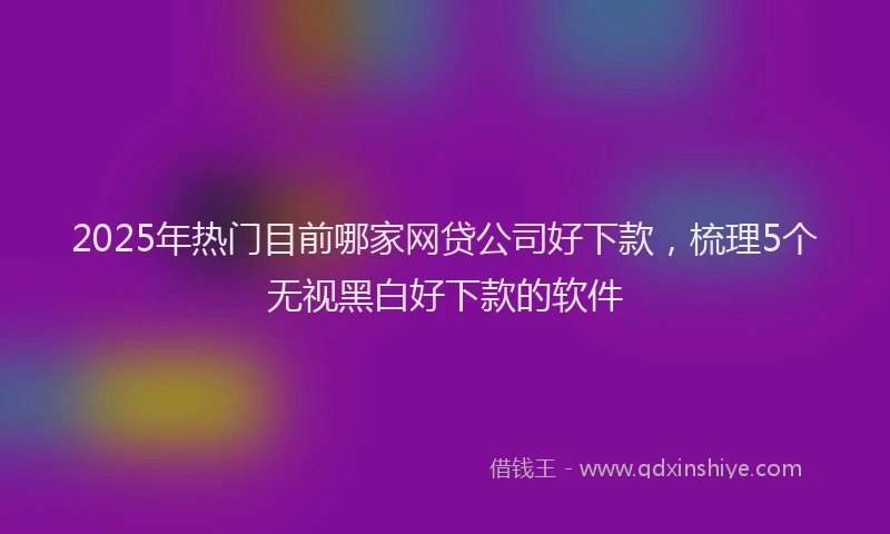 2025年热门目前哪家网贷公司好下款，梳理5个无视黑白好下款的软件