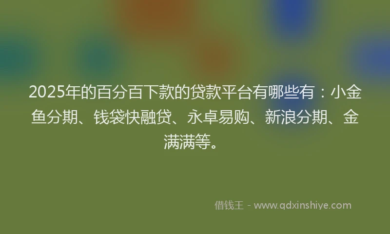 2025年的百分百下款的贷款平台有哪些有:小金鱼分期、钱袋快融贷、永卓易购、新浪分期、金满满等。