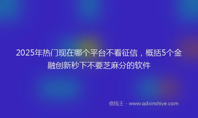 2025年热门现在哪个平台不看征信，概括5个金融创新秒下不要芝麻分的软件