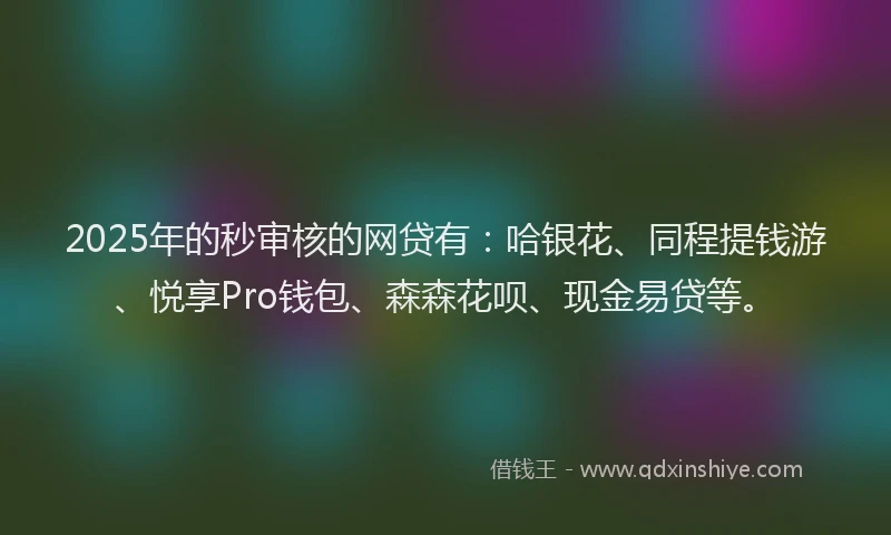 2025年的秒审核的网贷有：哈银花、同程提钱游、悦享Pro钱包、森森花呗、现金易贷等。