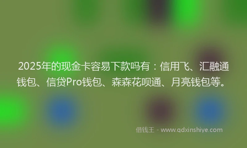 2025年的现金卡容易下款吗有:信用飞、汇融通钱包、信贷Pro钱包、森森花呗通、月亮钱包等。