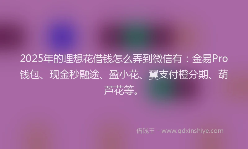 2025年的理想花借钱怎么弄到微信有：金易Pro钱包、现金秒融途、盈小花、翼支付橙分期、葫芦花等。