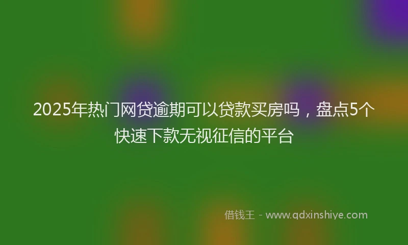 2025年热门网贷逾期可以贷款买房吗，盘点5个快速下款无视征信的平台