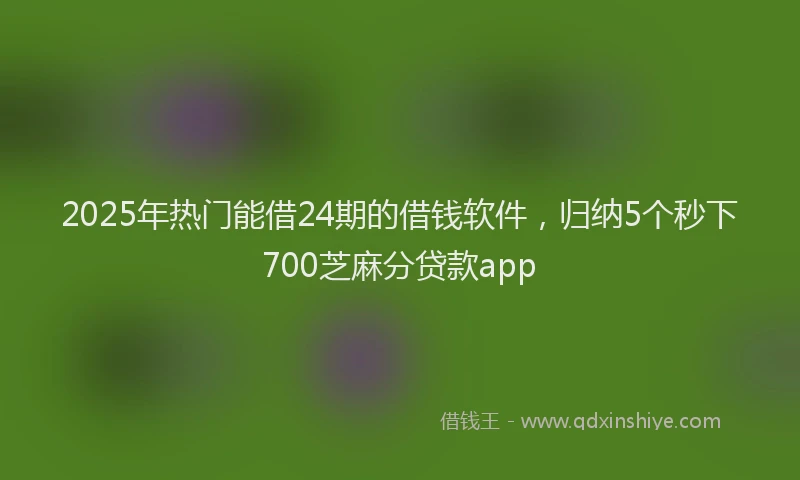 2025年热门能借24期的借钱软件，归纳5个秒下700芝麻分贷款app