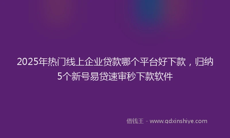 2025年热门线上企业贷款哪个平台好下款,归纳5个新号易贷速审秒下款软件