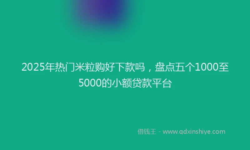 2025年热门米粒购好下款吗,盘点五个1000至5000的小额贷款平台