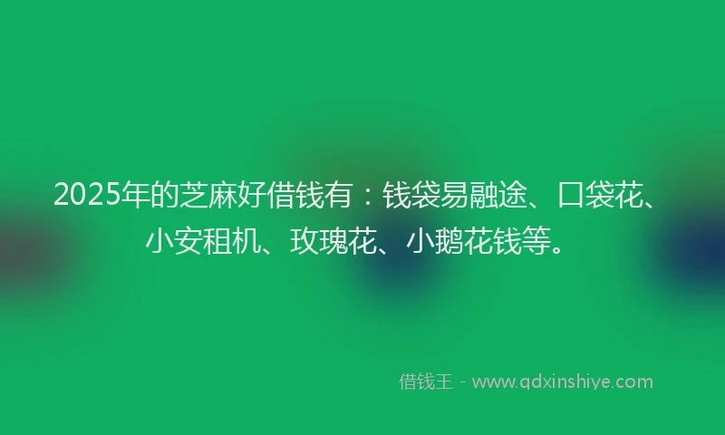 2025年的芝麻好借钱有：钱袋易融途、口袋花、小安租机、玫瑰花、小鹅花钱等。
