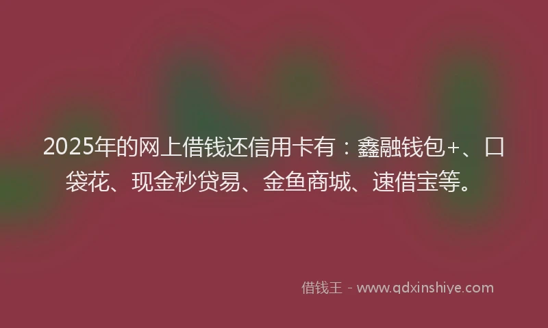 2025年的网上借钱还信用卡有：鑫融钱包+、口袋花、现金秒贷易、金鱼商城、速借宝等。