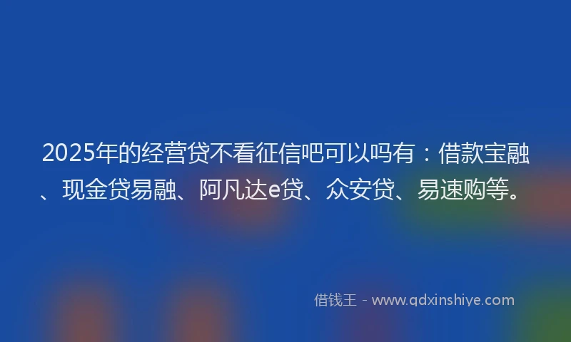 2025年的经营贷不看征信吧可以吗有：借款宝融、现金贷易融、阿凡达e贷、众安贷、易速购等。