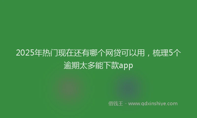 2025年热门现在还有哪个网贷可以用，梳理5个逾期太多能下款app