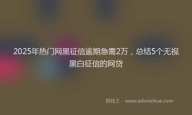 2025年热门网黑征信逾期急需2万,总结5个无视黑白征信的网贷
