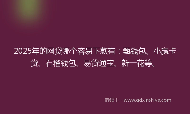 2025年的网贷哪个容易下款有：甄钱包、小赢卡贷、石榴钱包、易贷通宝、新一花等。
