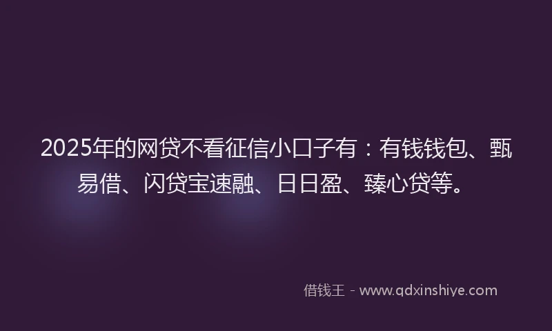 2025年的网贷不看征信小口子有：有钱钱包、甄易借、闪贷宝速融、日日盈、臻心贷等。