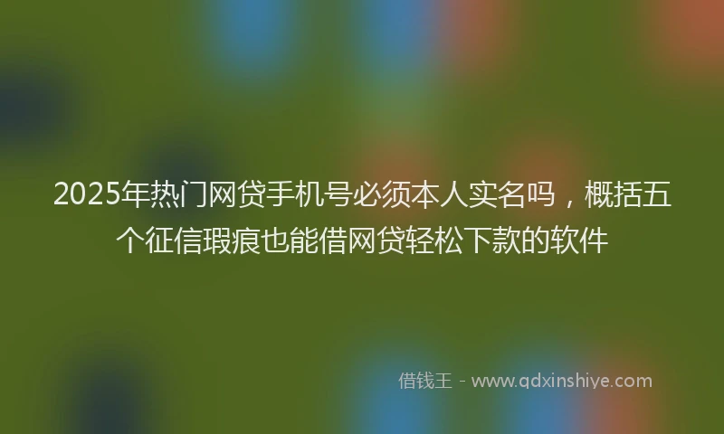 2025年热门网贷手机号必须本人实名吗，概括五个征信瑕疵也能借网贷轻松下款的软件