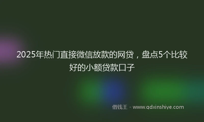 2025年热门直接微信放款的网贷，盘点5个比较好的小额贷款口子
