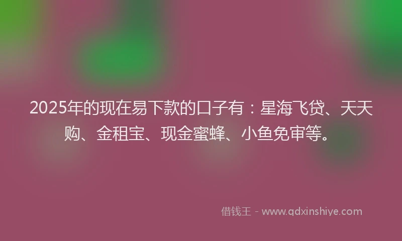 2025年的现在易下款的口子有：星海飞贷、天天购、金租宝、现金蜜蜂、小鱼免审等。