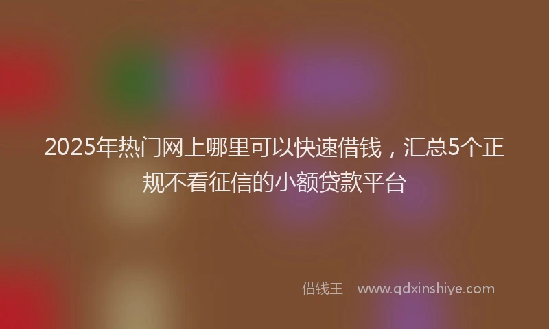 2025年热门网上哪里可以快速借钱，汇总5个正规不看征信的小额贷款平台