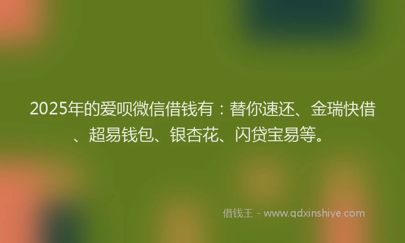 2025年的爱呗微信借钱有：替你速还、金瑞快借、超易钱包、银杏花、闪贷宝易等。