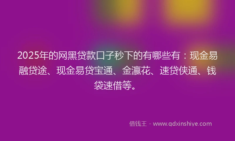2025年的网黑贷款口子秒下的有哪些有:现金易融贷途、现金易贷宝通、金瀛花、速贷侠通、钱袋速借等。