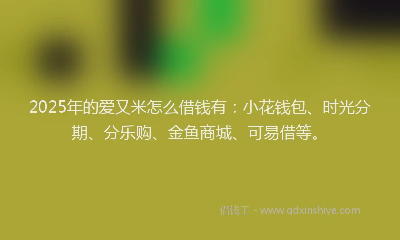 2025年的爱又米怎么借钱有：小花钱包、时光分期、分乐购、金鱼商城、可易借等。