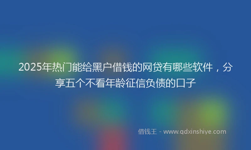 2025年热门能给黑户借钱的网贷有哪些软件,分享五个不看年龄征信负债的口子