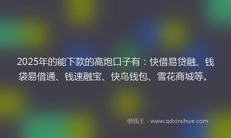 2025年的能下款的高炮口子有：快借易贷融、钱袋易借通、钱速融宝、快鸟钱包、雪花商城等。