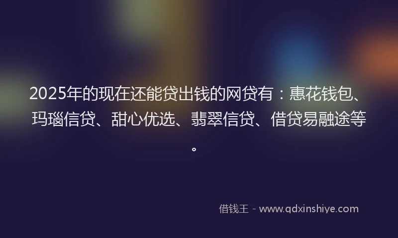 2025年的现在还能贷出钱的网贷有：惠花钱包、玛瑙信贷、甜心优选、翡翠信贷、借贷易融途等。