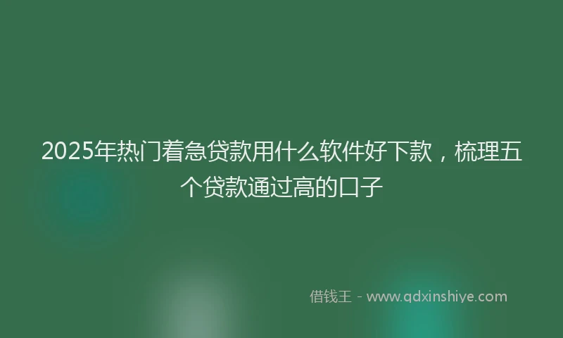 2025年热门着急贷款用什么软件好下款，梳理五个贷款通过高的口子