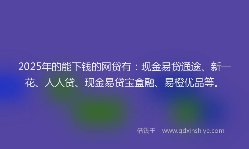 2025年的能下钱的网贷有:现金易贷通途、新一花、人人贷、现金易贷宝盒融、易橙优品等。