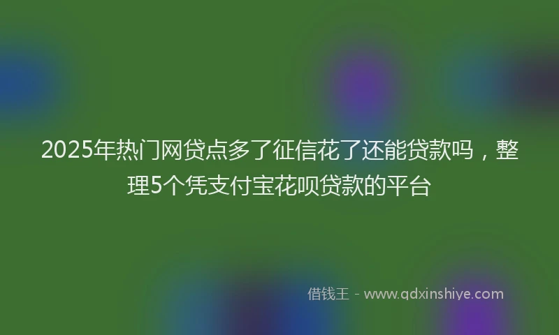 2025年热门网贷点多了征信花了还能贷款吗,整理5个凭支付宝花呗贷款的平台