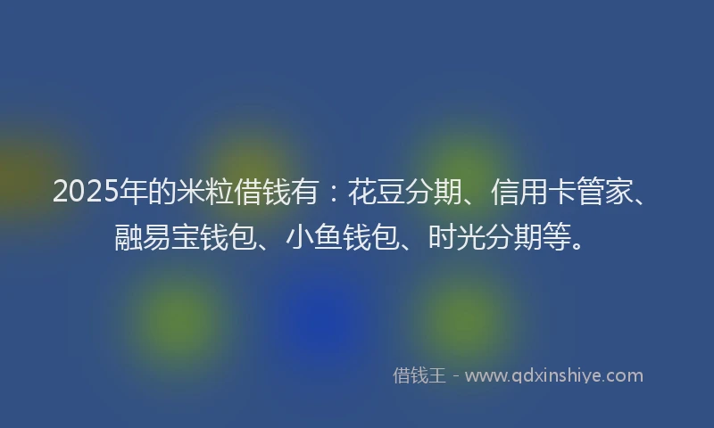 2025年的米粒借钱有：花豆分期、信用卡管家、融易宝钱包、小鱼钱包、时光分期等。