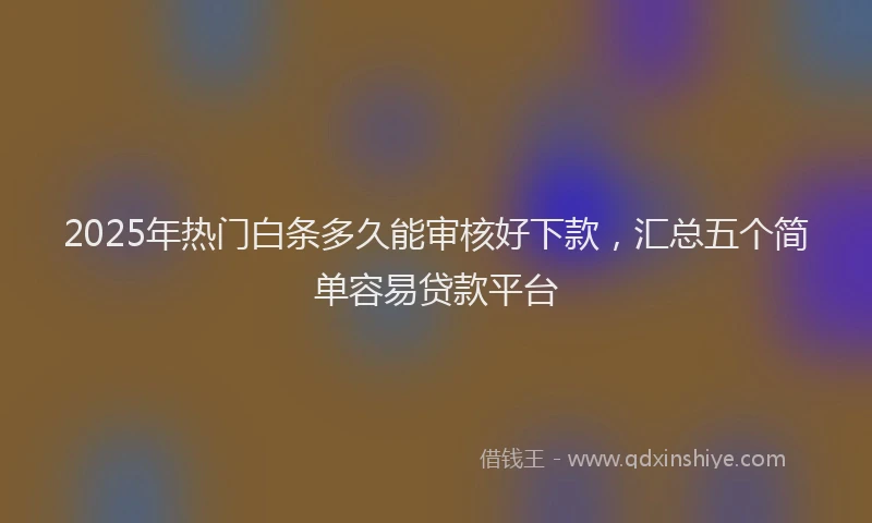 2025年热门白条多久能审核好下款，汇总五个简单容易贷款平台