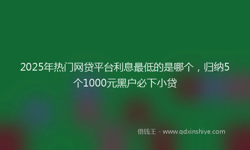 2025年热门网贷平台利息最低的是哪个，归纳5个1000元黑户必下小贷
