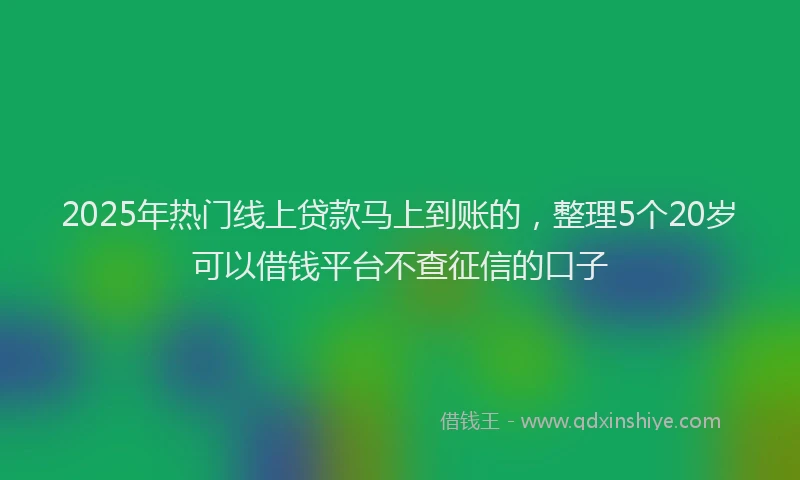 2025年热门线上贷款马上到账的，整理5个20岁可以借钱平台不查征信的口子