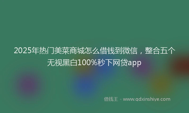 2025年热门美菜商城怎么借钱到微信,整合五个无视黑白100%秒下网贷app