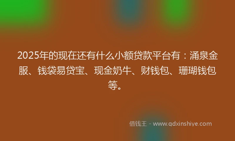 2025年的现在还有什么小额贷款平台有：涌泉金服、钱袋易贷宝、现金奶牛、财钱包、珊瑚钱包等。