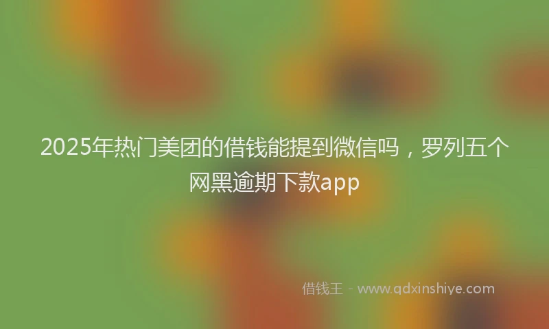 2025年热门美团的借钱能提到微信吗，罗列五个网黑逾期下款app