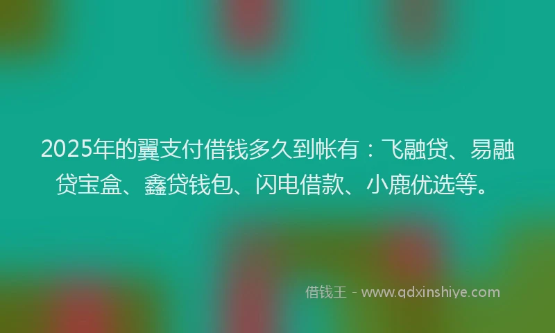 2025年的翼支付借钱多久到帐有：飞融贷、易融贷宝盒、鑫贷钱包、闪电借款、小鹿优选等。