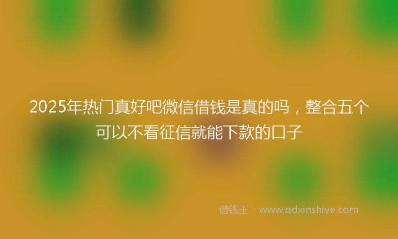 2025年热门真好吧微信借钱是真的吗,整合五个可以不看征信就能下款的口子