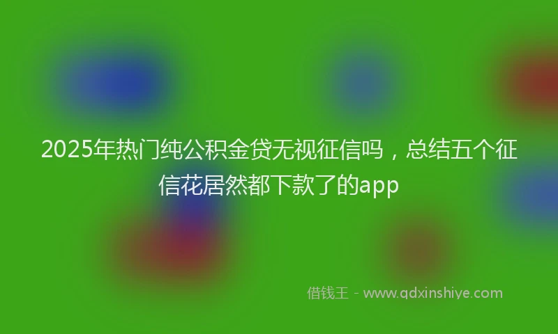 2025年热门纯公积金贷无视征信吗，总结五个征信花居然都下款了的app