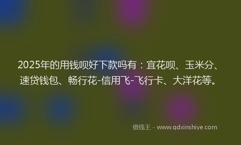 2025年的用钱呗好下款吗有：宜花呗、玉米分、速贷钱包、畅行花-信用飞-飞行卡、大洋花等。