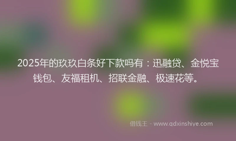2025年的玖玖白条好下款吗有：迅融贷、金悦宝钱包、友福租机、招联金融、极速花等。