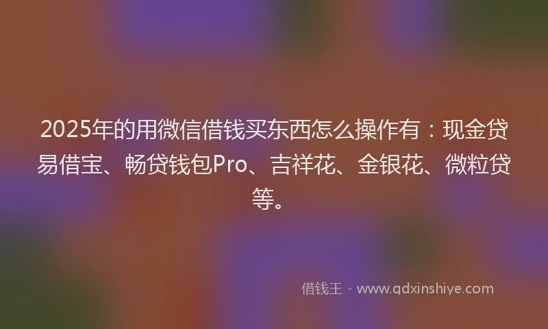 2025年的用微信借钱买东西怎么操作有：现金贷易借宝、畅贷钱包Pro、吉祥花、金银花、微粒贷等。